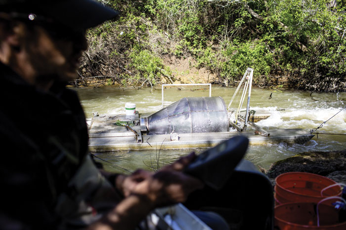 A fish trap guides fish into a metal tank. (Photo by Paul Myers, Parks Conservancy)