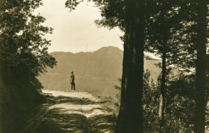 historic view of tam
