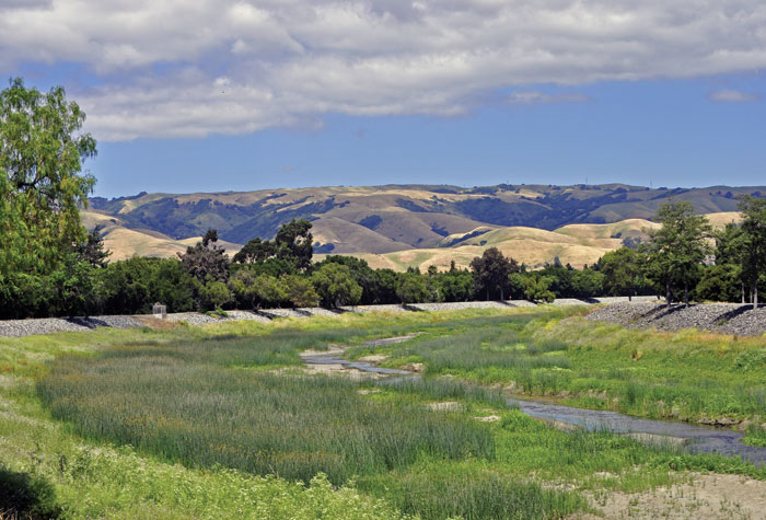The Alameda Creek Trail, paved on its southern route, follows the northern edge of Coyote Hills Regional Park. (Photo by Robert Clay)