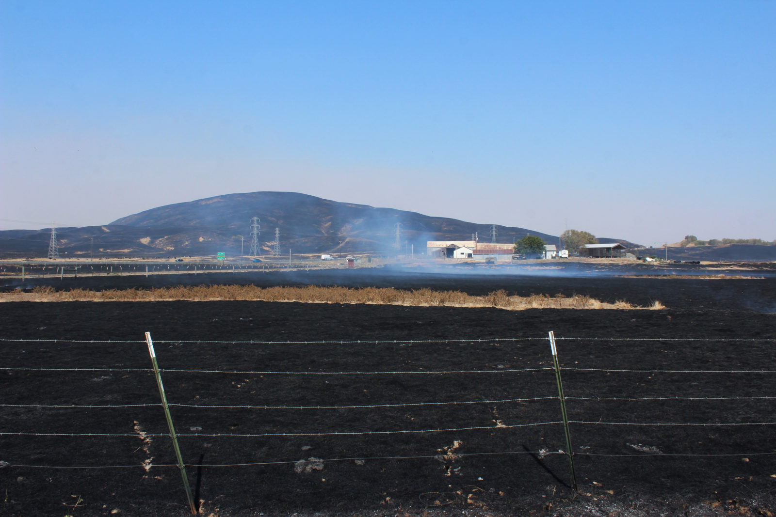 The charred remains of the grasslands at Sears Point (Photo by Steve Pye)