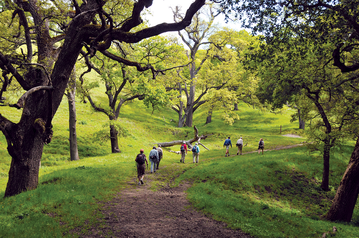 hikers on the Ohlone Trail