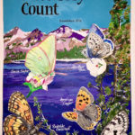 Yosemite butterfly count illustration