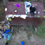 trash at Limantour