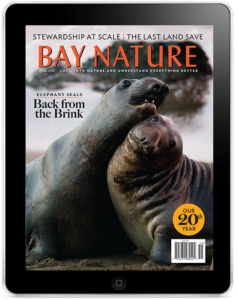 Winter 2020 Digital Edition with Elephant Seals cover