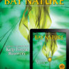 Bay Nature Summer 2020 cover: Kelp forest