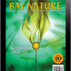 Bay Nature Summer 2020 cover: Kelp forest