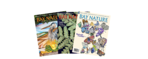 three Bay Nature covers