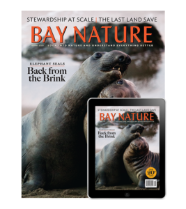 2020 Winter Issue with Elephant Seals, Print + Digital Edition
