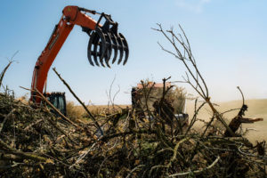 tearing down an almond orchard, photo by Jonno Rattman