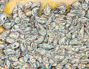 oyster shell illustration