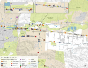 roadkill map in Coyote Valley