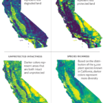 maps of CA biodiversity