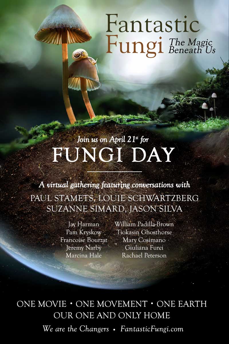 Fantastic Fungi Day poster