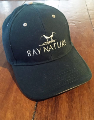 picture of a bay nature hat