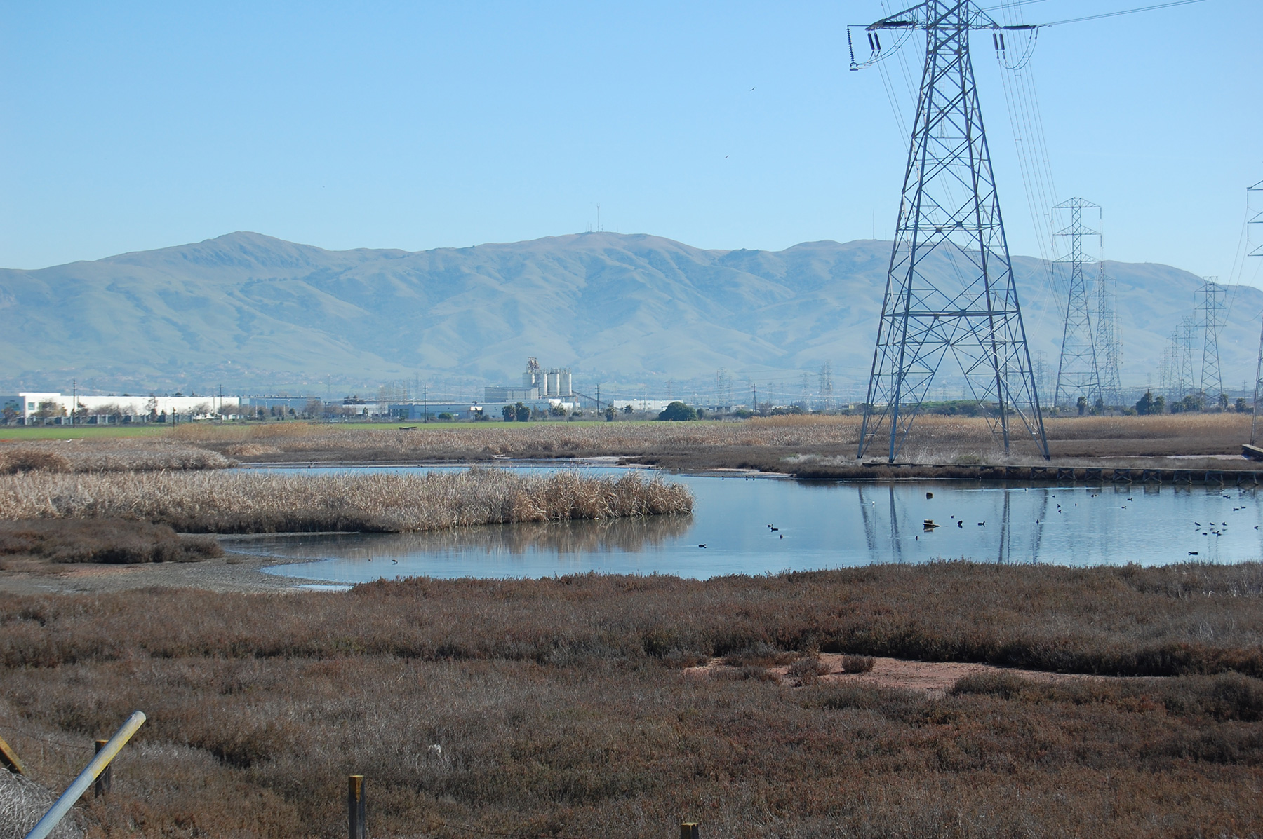 Bay Planners Highlight Another Missing Element in California Environmental Law: It Doesn’t Account Well for the Future