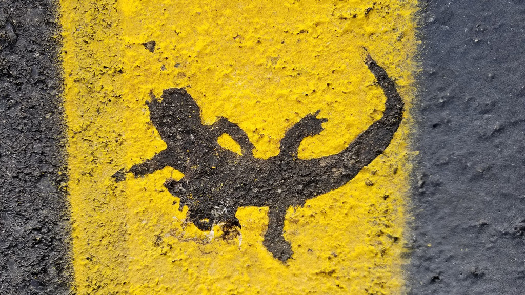 silhouette of dead newt