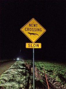 newt crossing sign