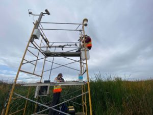 researchers check a wetland monitoring station