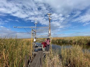 researchers check a wetland monitoring station