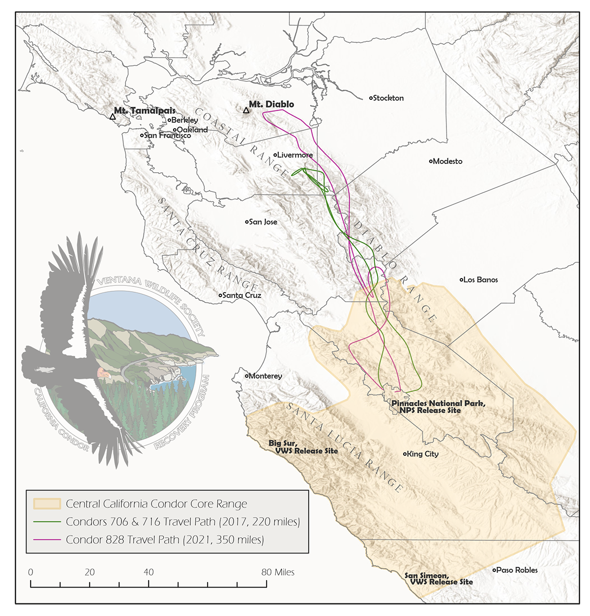 map of condor routes in Bay Area