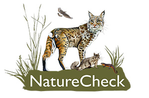 Logo for NatureCheck, a habitat assessment in the East Bay