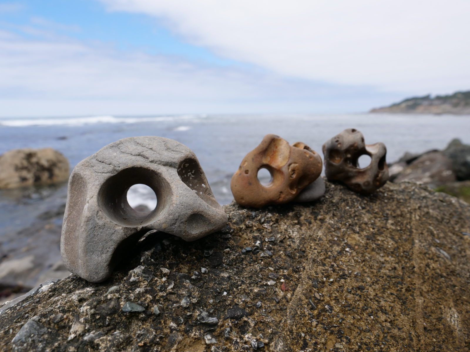 Pebbles with holes made by sea creatures – Jessica's Nature Blog