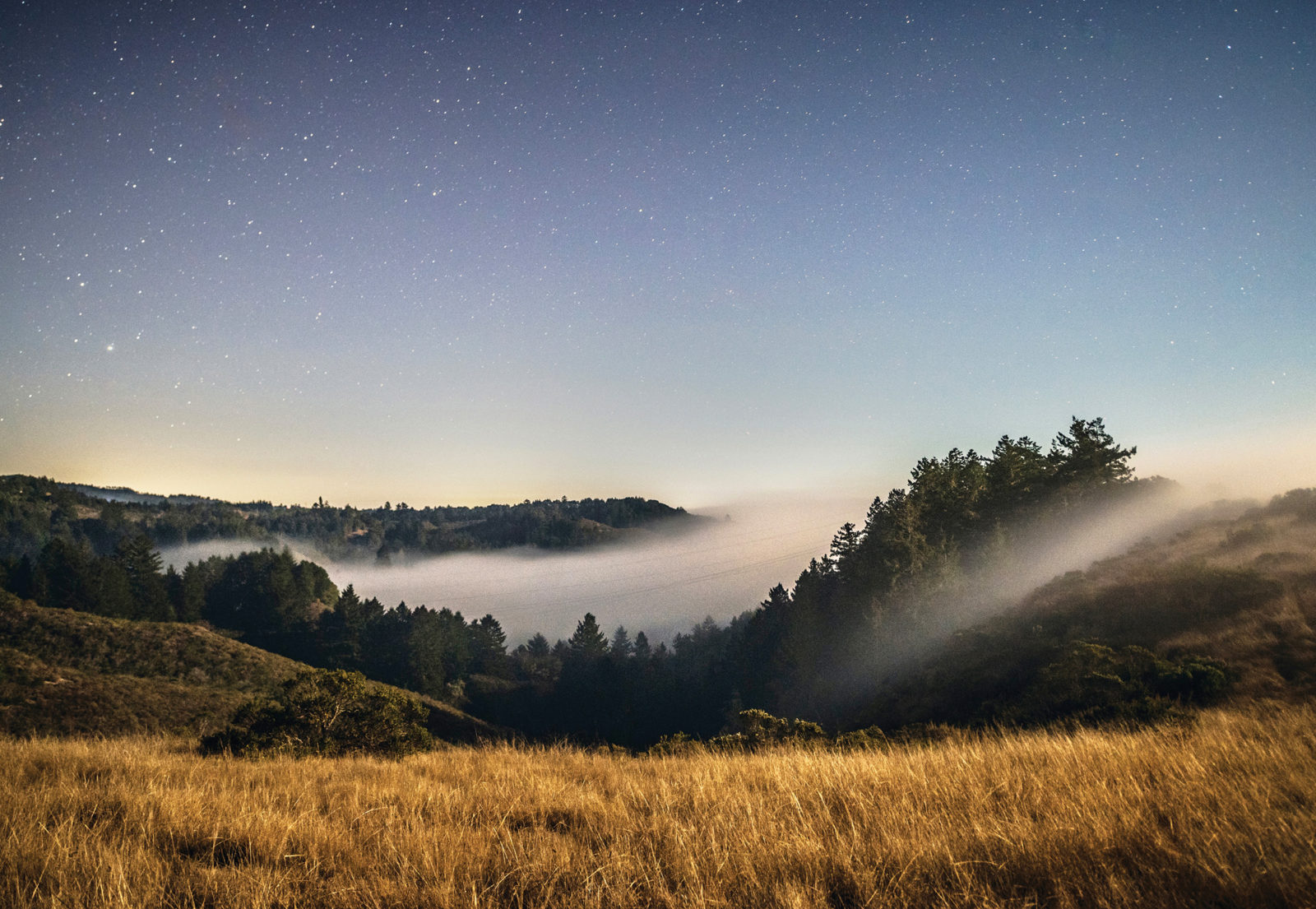 Night fog blankets the San Vicente Redwoods on an otherwise clear night. (Teddy Miller)