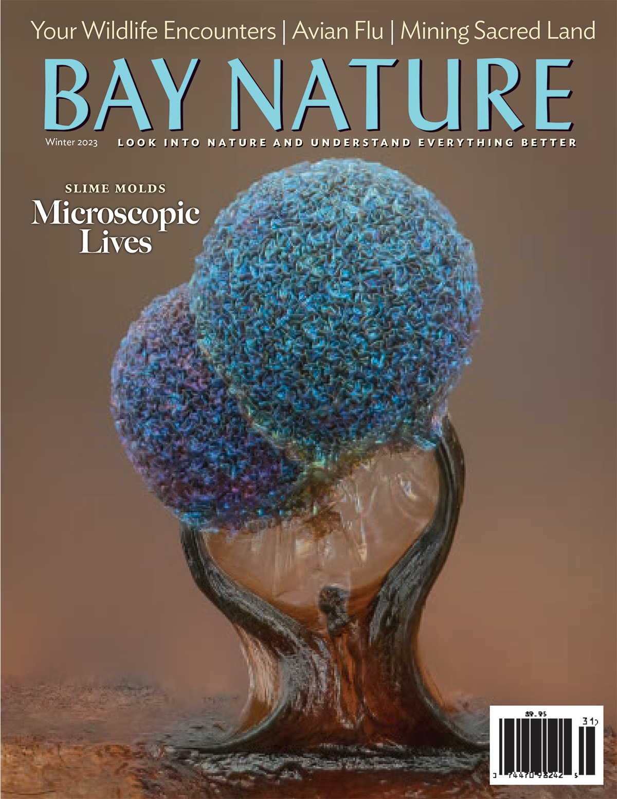 Nature Magazine: The Winter 2023 Print Issue
