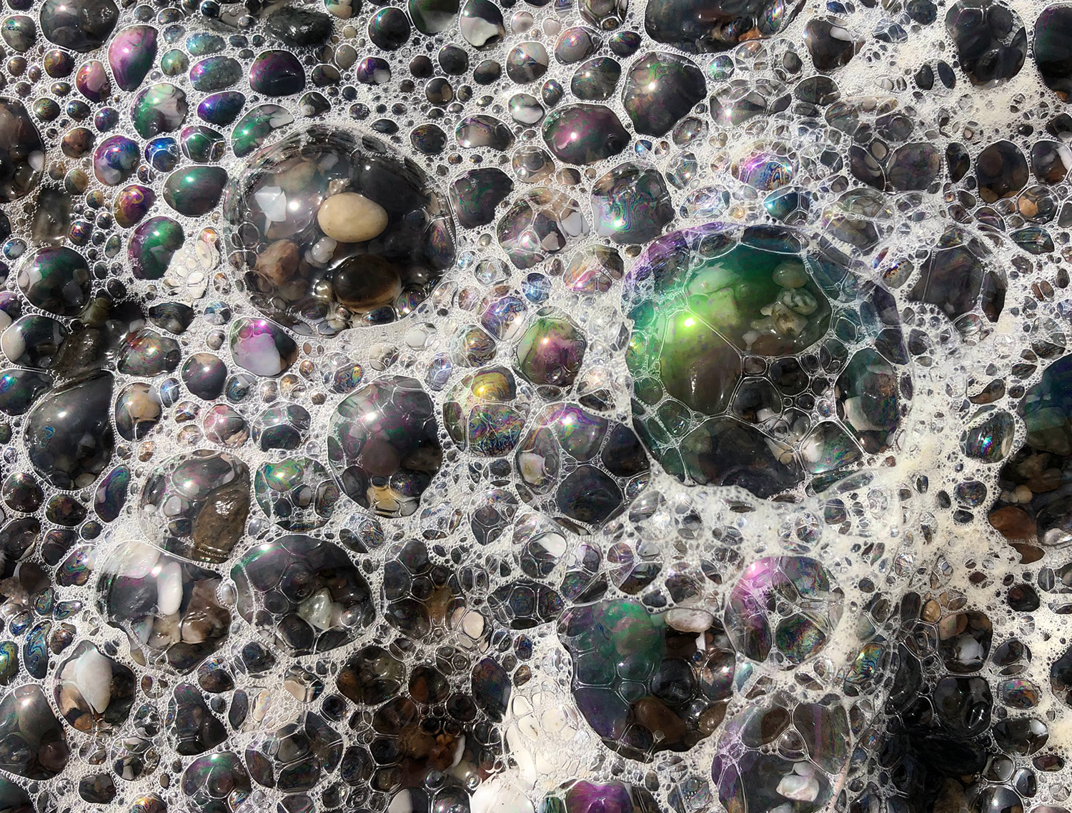 Sea foam comes in different varieties, but unless there's a harmful algal bloom around it's all most likely safe to poke. (Photo by Guananí Gómez-Van Cortright)