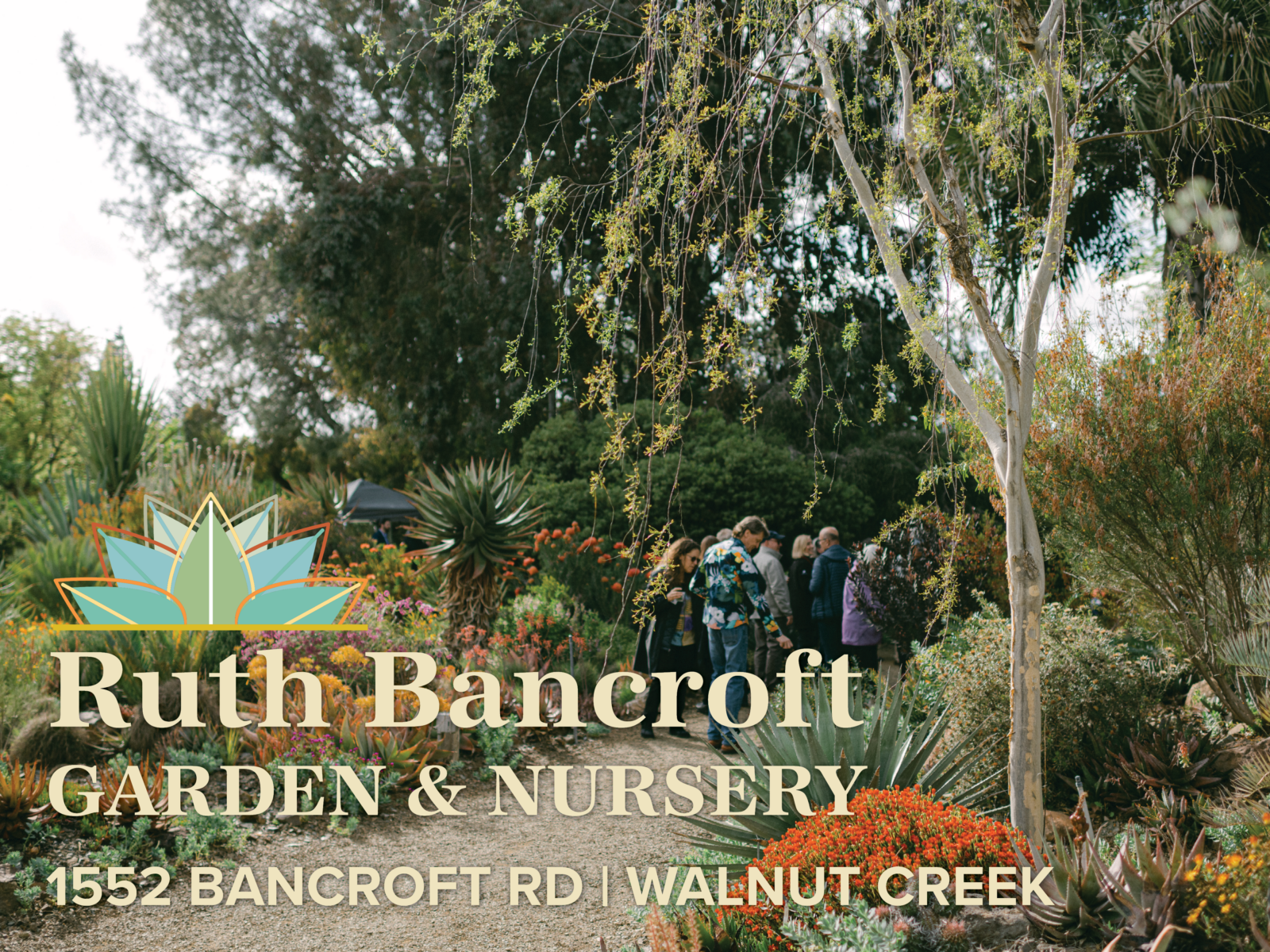 Ruth Bancroft Garden and Nursery, in Walnut Creek