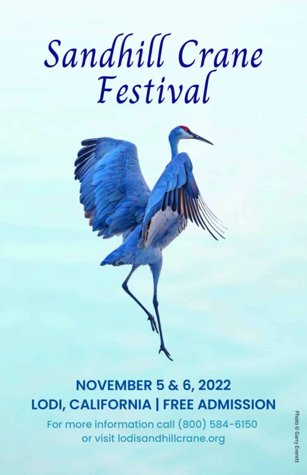 Advertising poster for Lodi Sandhill Crane Festival with photo of sandhill crane against a sea green background
