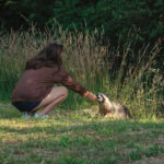 A woman feeds a raccoon.