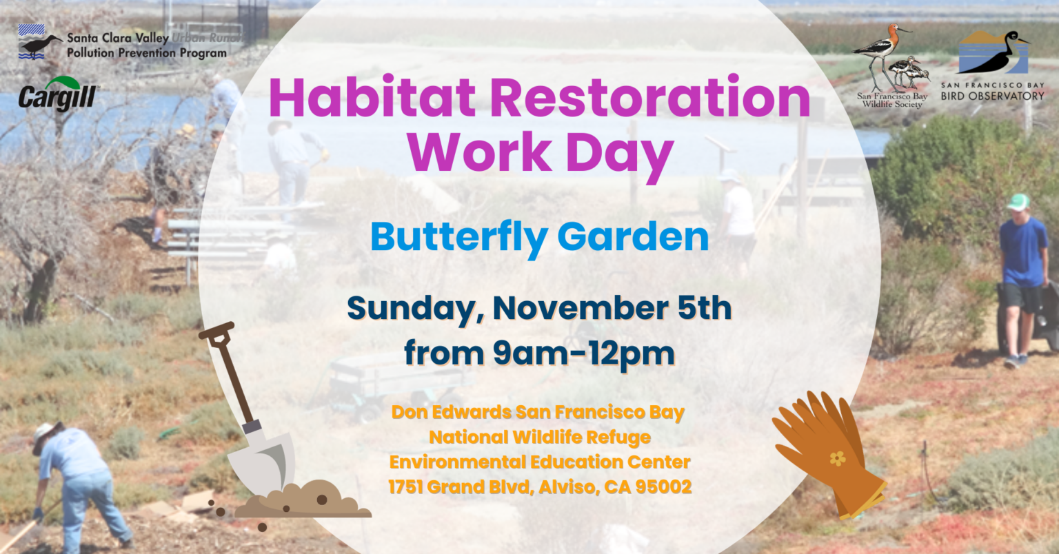 Habitat Restoration Work Day Butterfly Garden