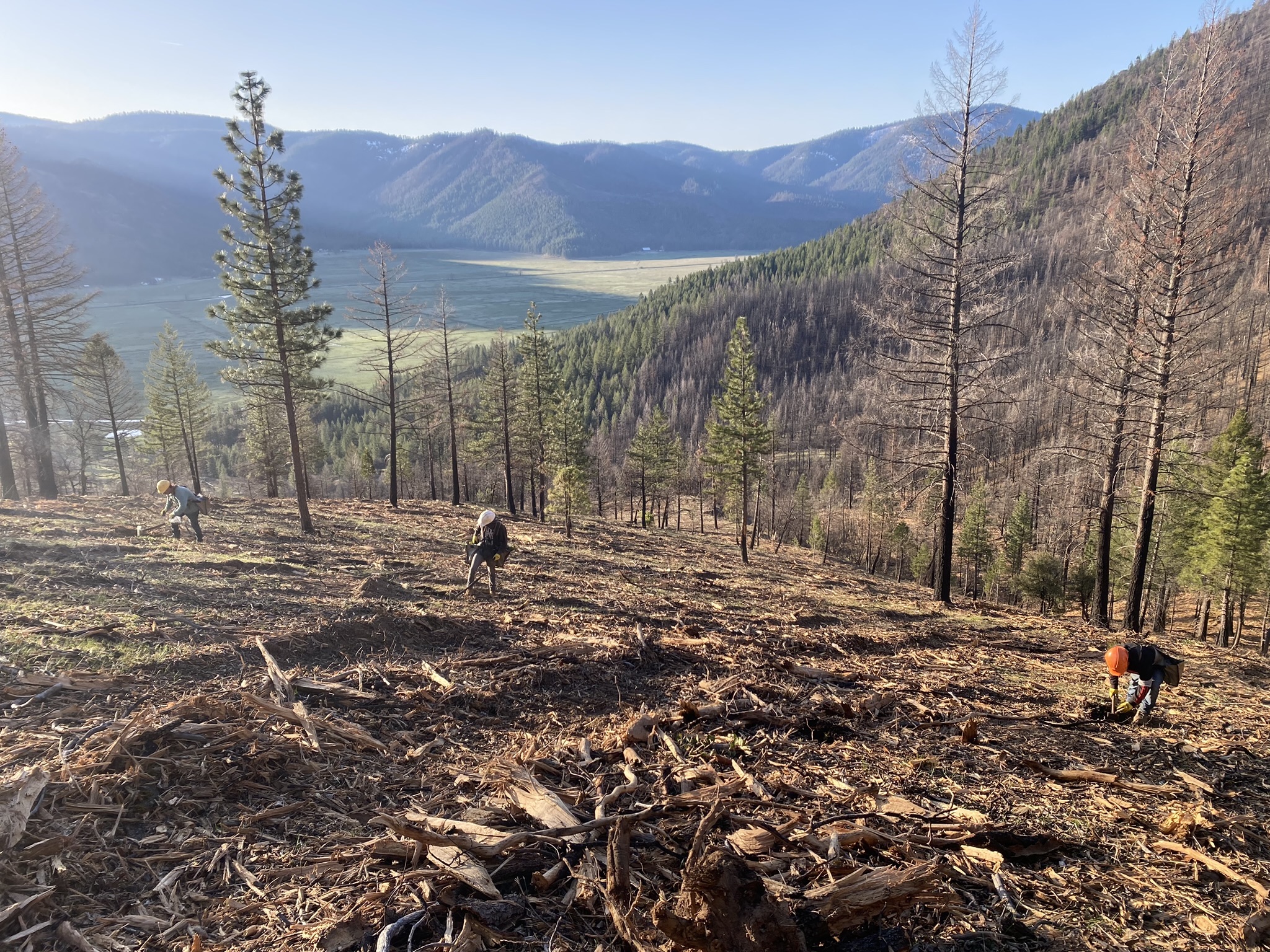 Forest Service Grants Delayed for Communities in Flammable Forests