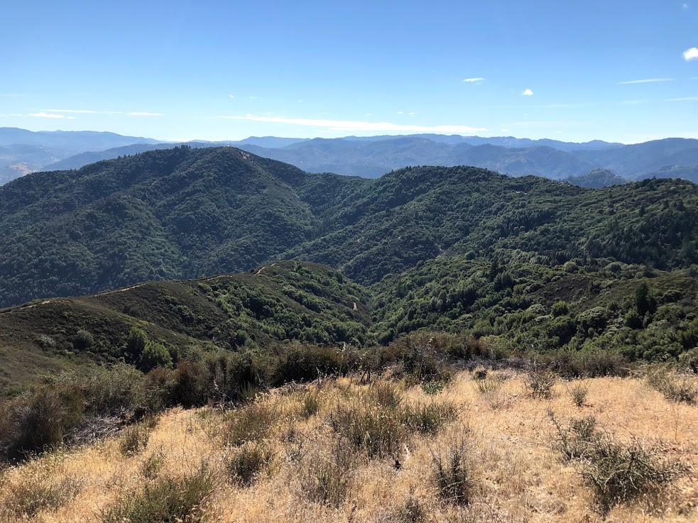 On the Russian River, a Slow Road to Good Fire