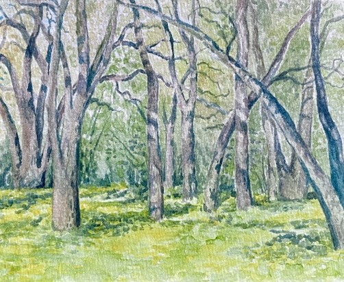 Plein Air Watercolor Landscapes at Jack London State Historic Park