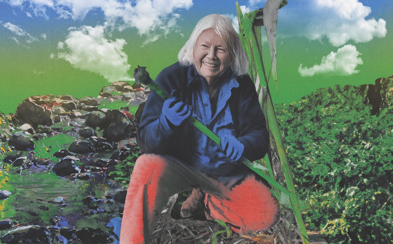 A collage of Susan Schwartz weeding