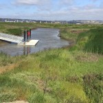 Boat launch at Pacheco Marsh
