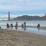 Image of people in wheelchairs and standing on Crissy Field
