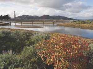 A photograph of Crissy Field with the Golden Gate Bridge in the background
