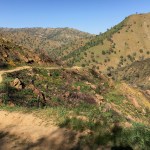 The Stebbins Cold Canyon trail in Yolo County. Courtesy of Kate Golden