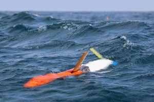 An orange glider at the ocean surface