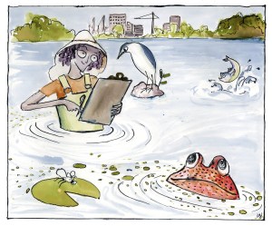 A cartoon of a coastal ecologist in a wetland, noting wildlife as she goes.