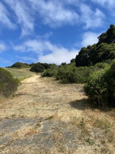 A photograph of a hillside