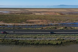 An aerial view of restoration marsh