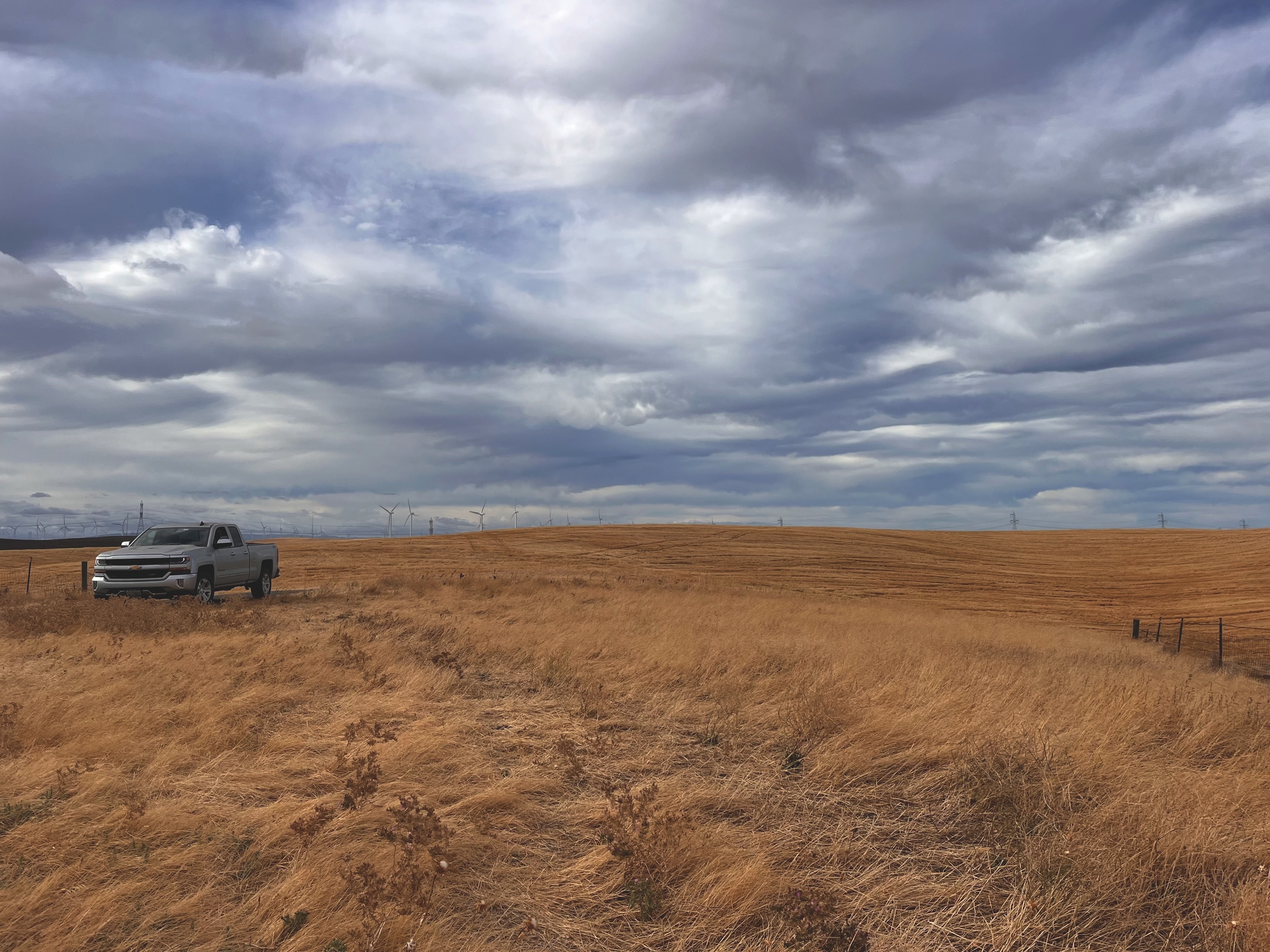 Underneath California Forever - Bay Nature