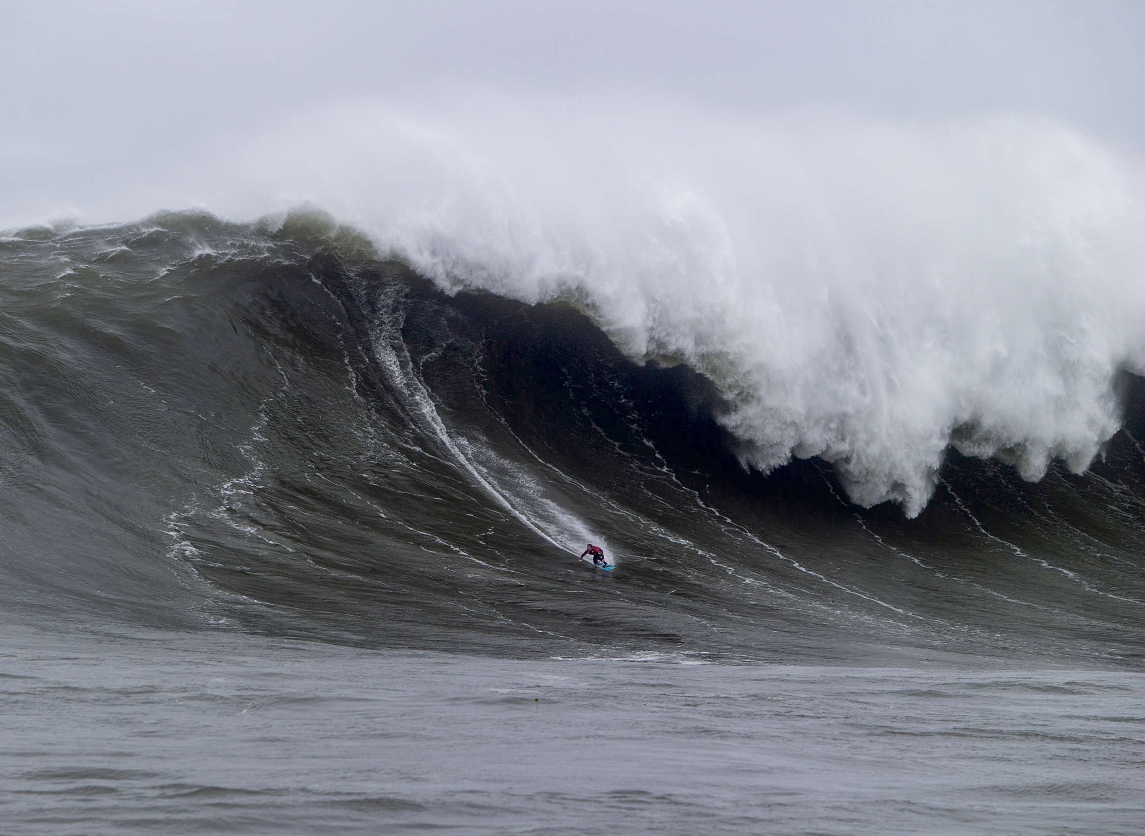 The Life of a Very Big Wave - Bay Nature