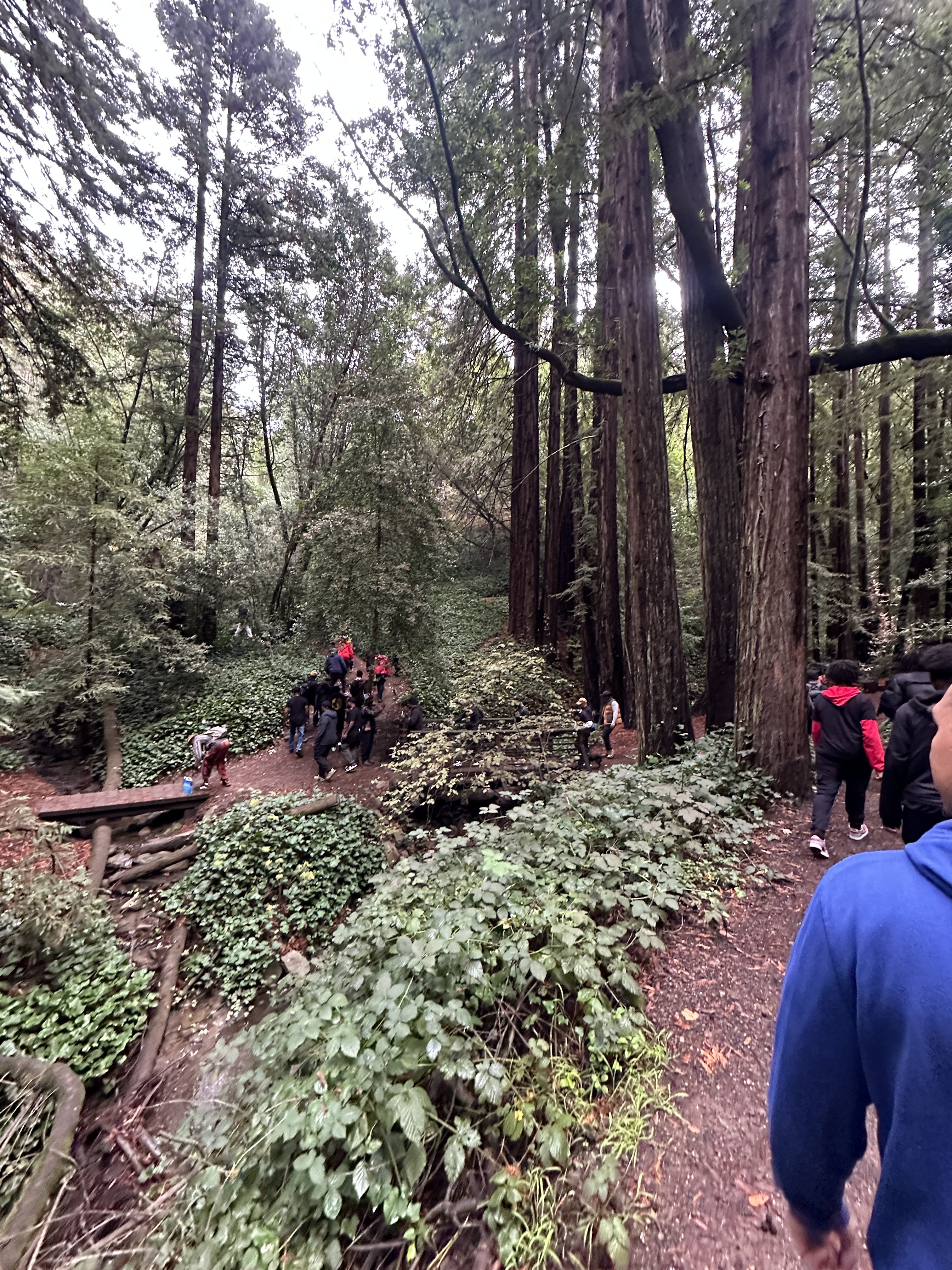 One Way to Celebrate Black History Month: Go for a Hike