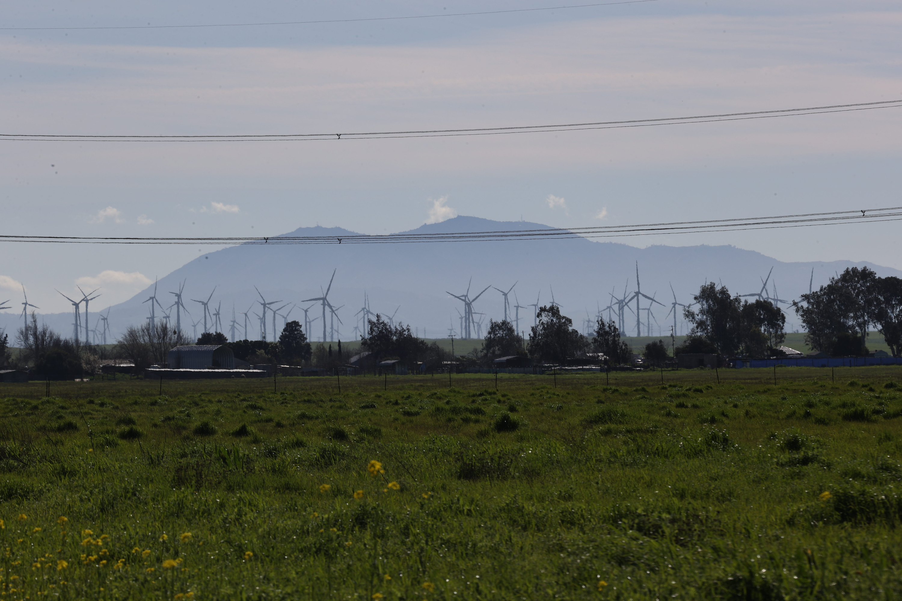 A Hunger for Answers on California Forever’s Environmental Impacts