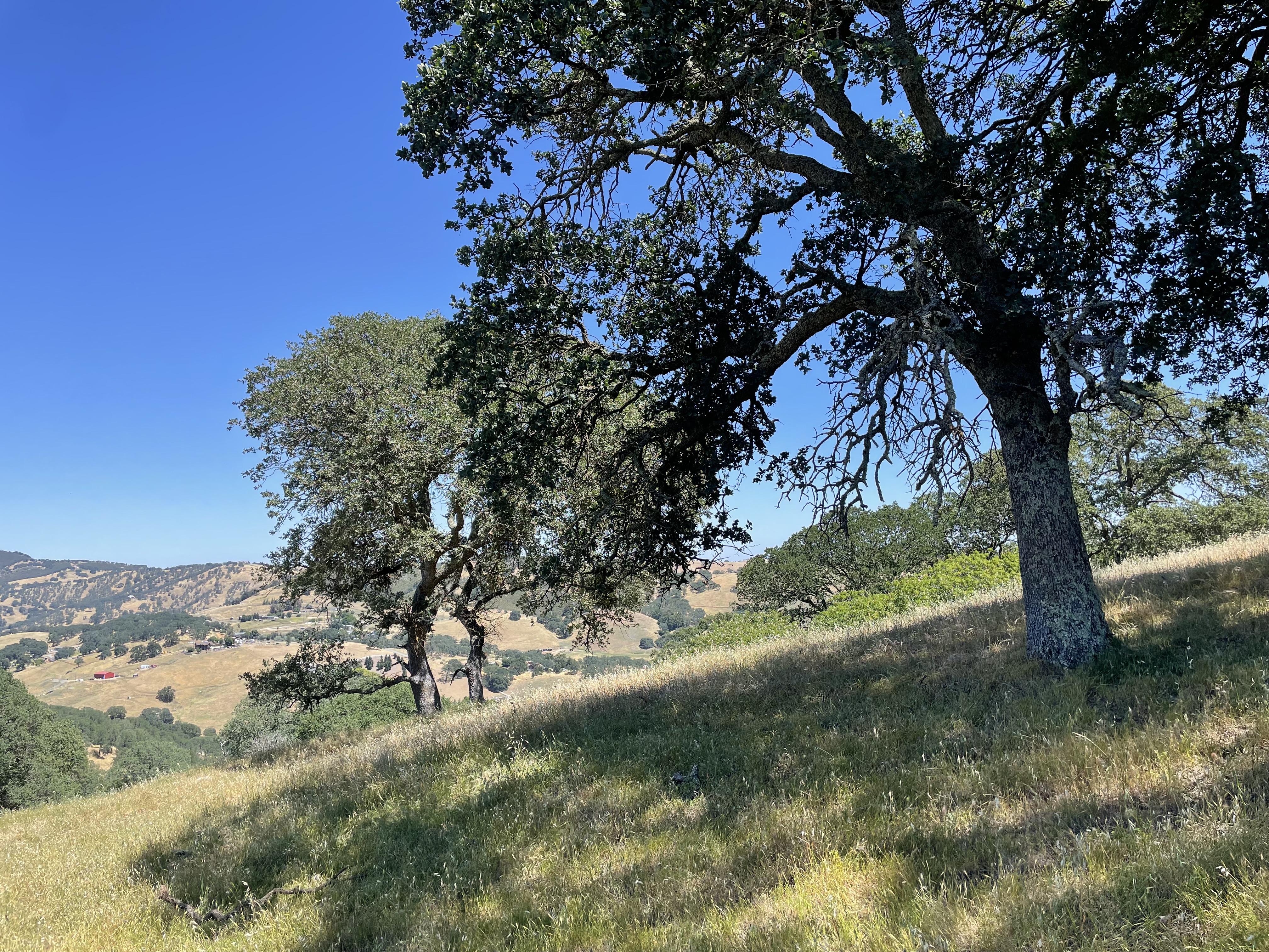 Bay Area on Track to Meet Ambitious 50×50 Conservation Goal